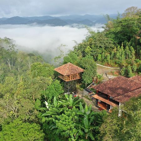 Spice Forest Plantation Homestay, Thekkady Vandiperiyar Exterior photo