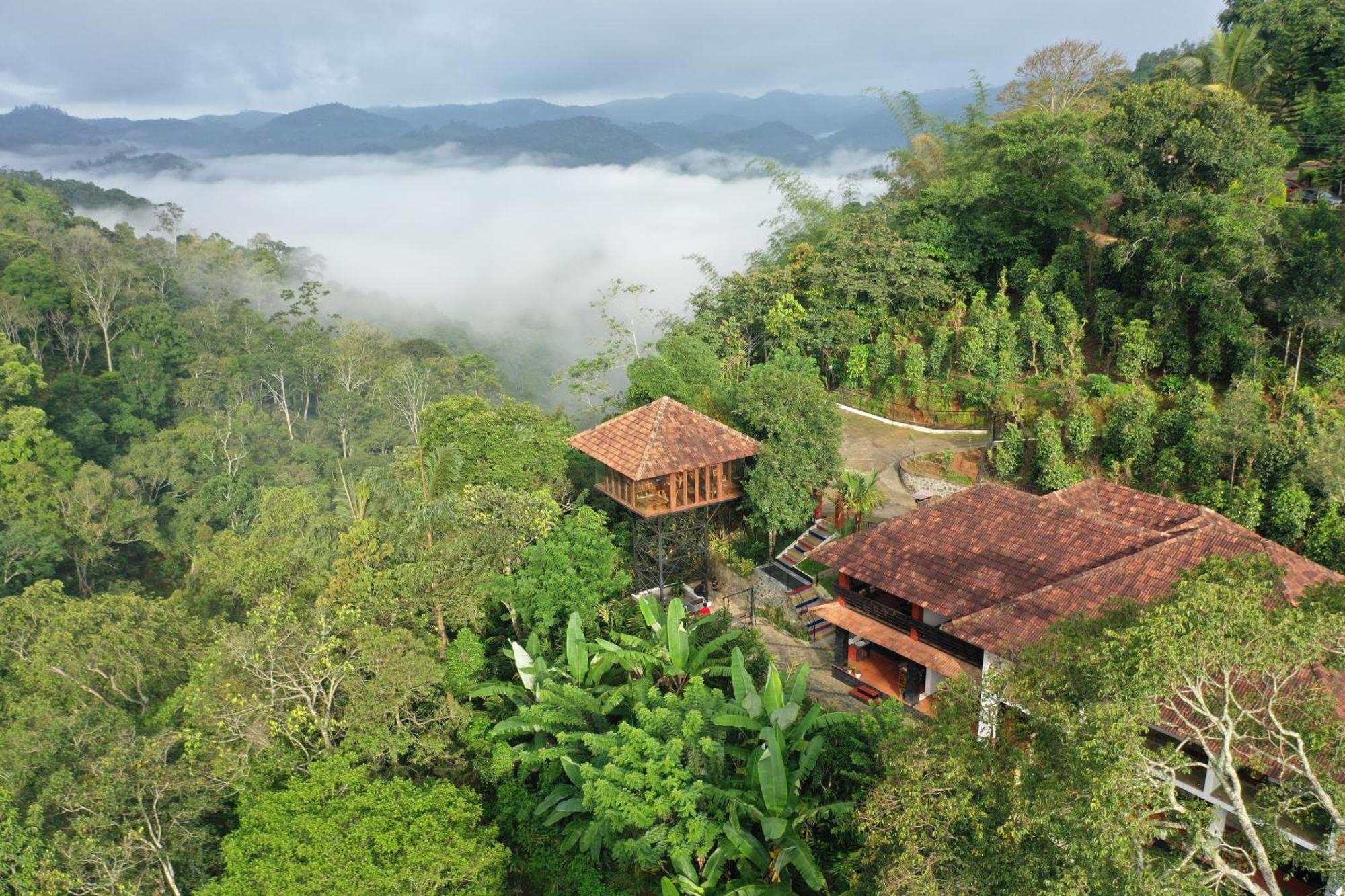 Spice Forest Plantation Homestay, Thekkady Vandiperiyar Exterior photo