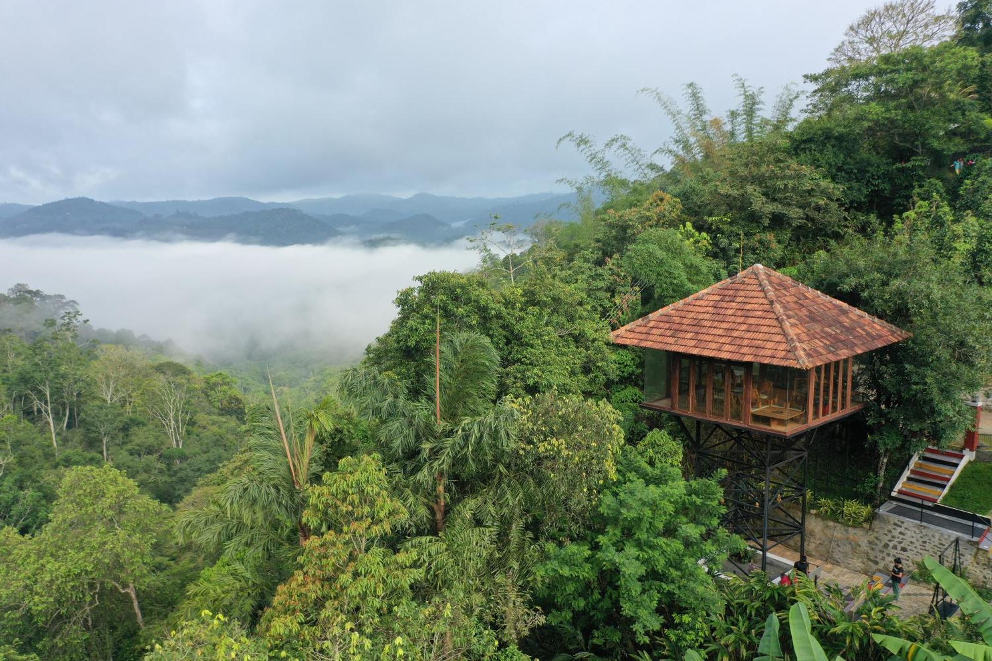 Spice Forest Plantation Homestay, Thekkady Vandiperiyar Exterior photo