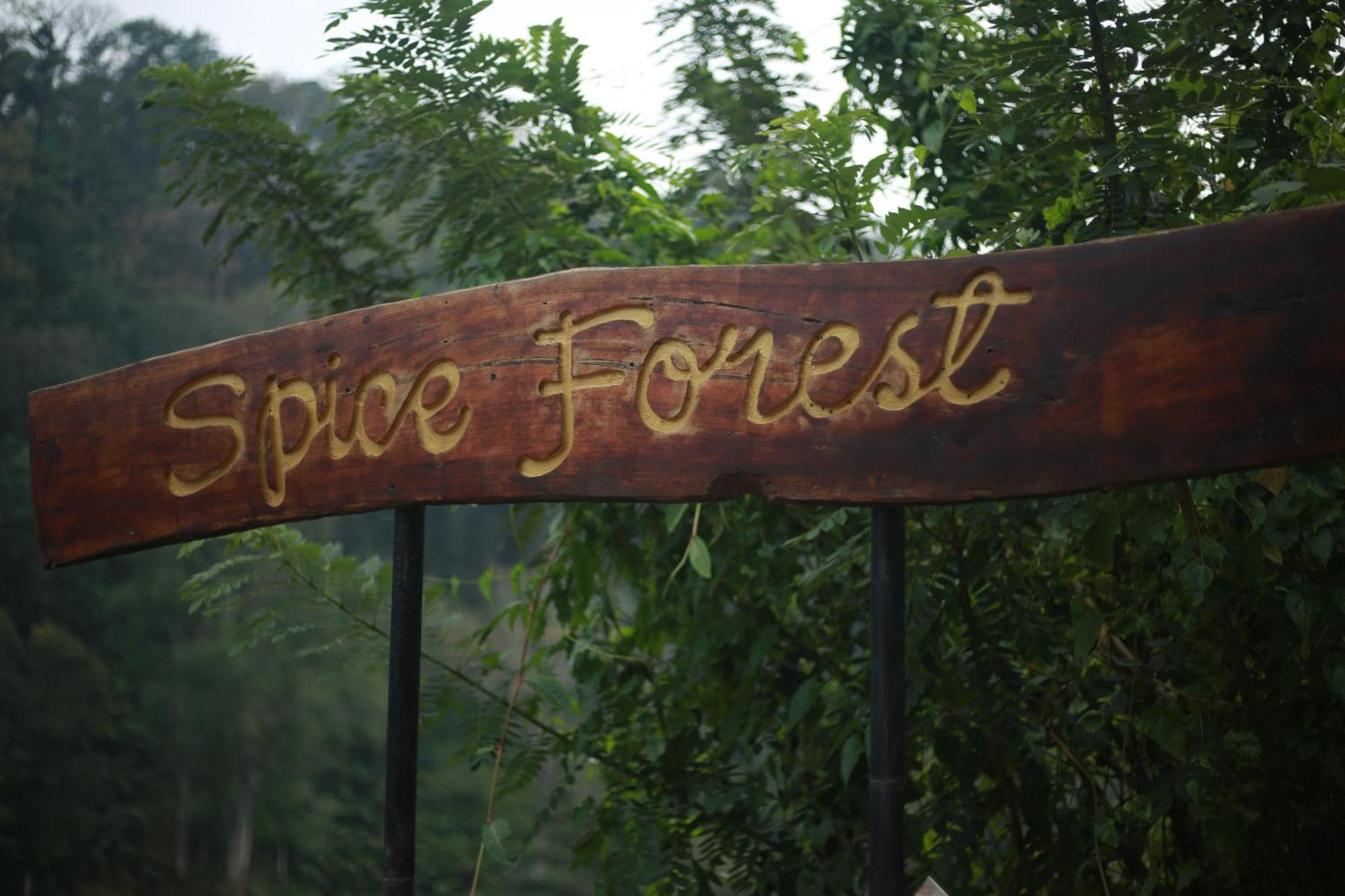 Spice Forest Plantation Homestay, Thekkady Vandiperiyar Exterior photo
