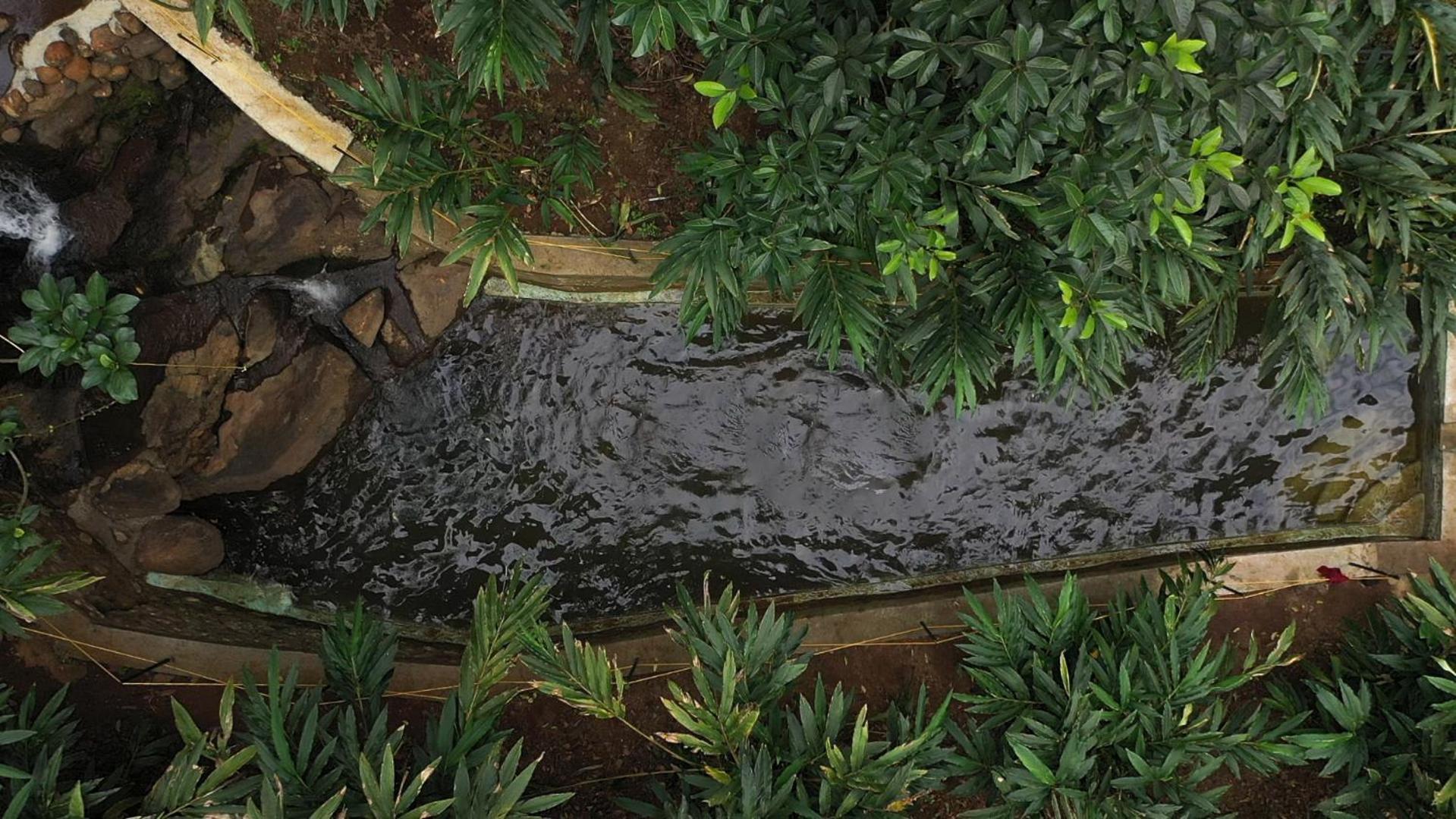 Spice Forest Plantation Homestay, Thekkady Vandiperiyar Exterior photo
